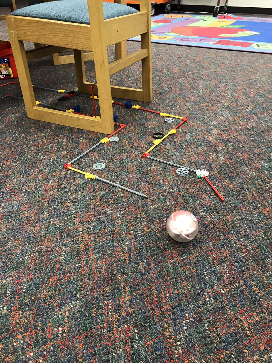 Elizabeth A. DeVoid tweet media