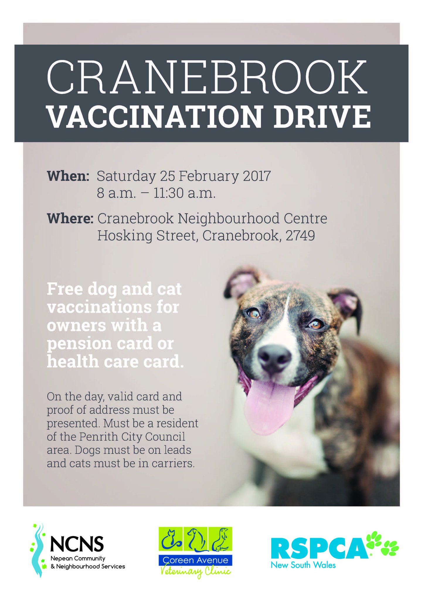 rspca cat vaccinations