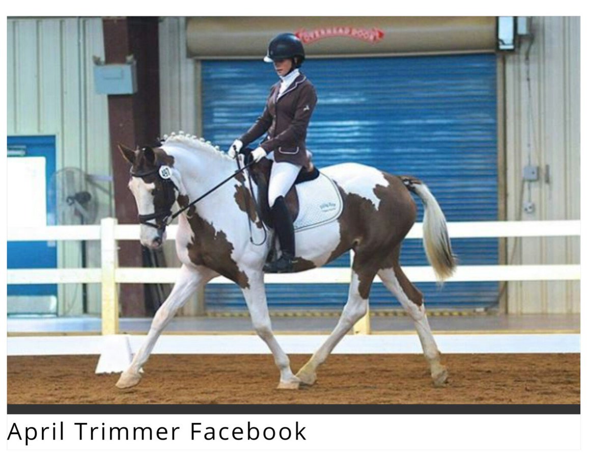 kelbast44's tweet image. SUCCESS: #KillPen #Horse destined for #HorseSlaughter, Rescued &amp;amp; Competes At Dressage Championships 6 Months Later thehorseaholic.com/kill-pen-rescu…