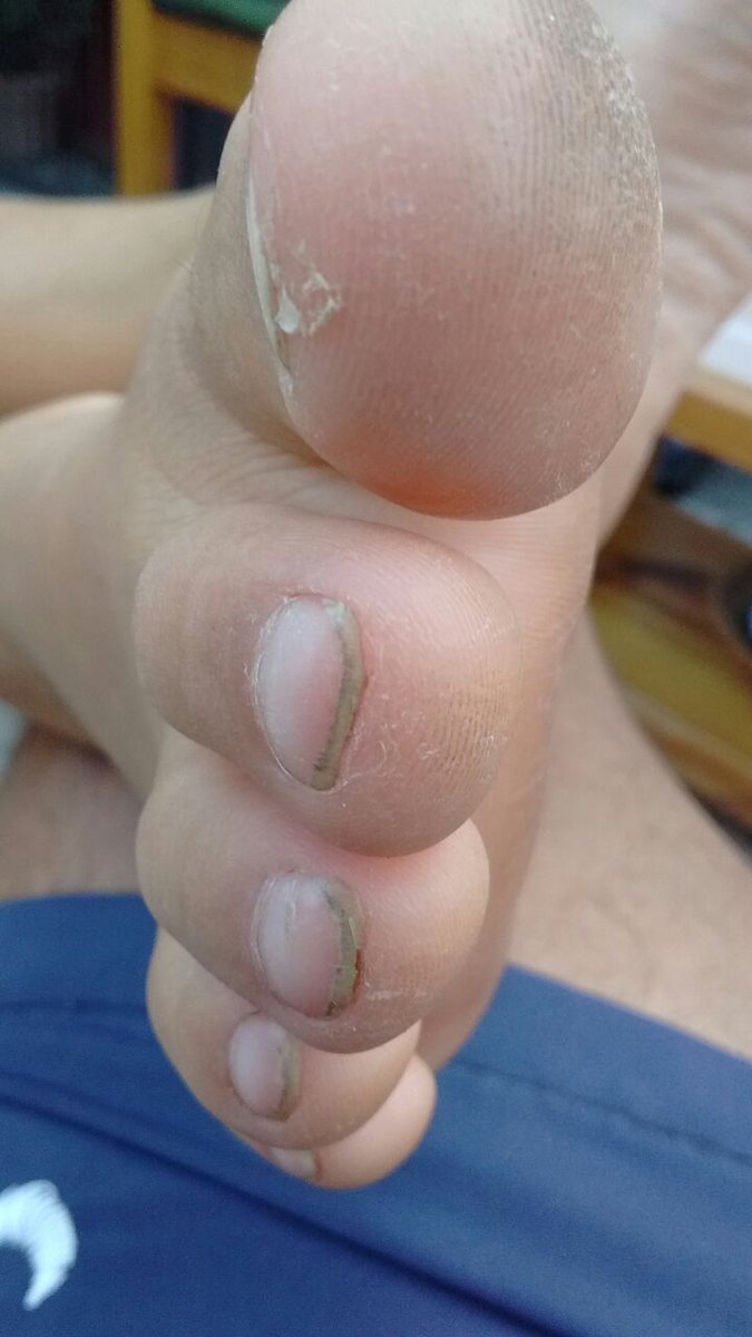 silvia are (@arebalosilvia) on Twitter photo 