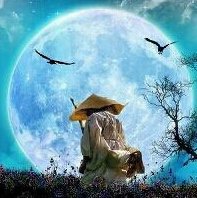 보름달 뜨면
먹구름 끼고
꽃 활짝 피면
비바람 몰아
치니
세상사 돌아
가는
꼬라지가
어째서 맨날
요 모양인지
홀로 한잔
하며
쓴 웃음짓네.