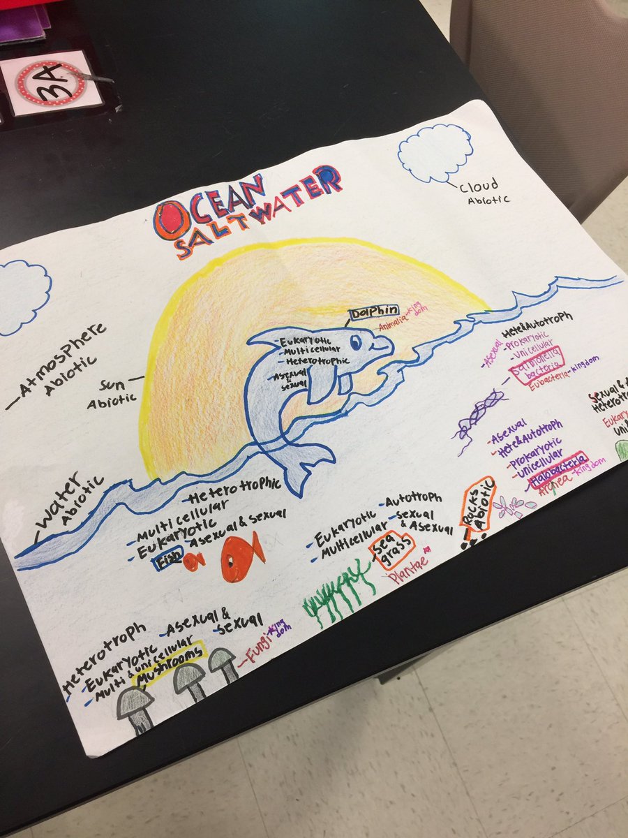 Haneteacher's tweet photo. #kjhpride 6th grade Science Ecosystem project to explain all of the factors in that system. https://t.co/CHGZVVG9Aj