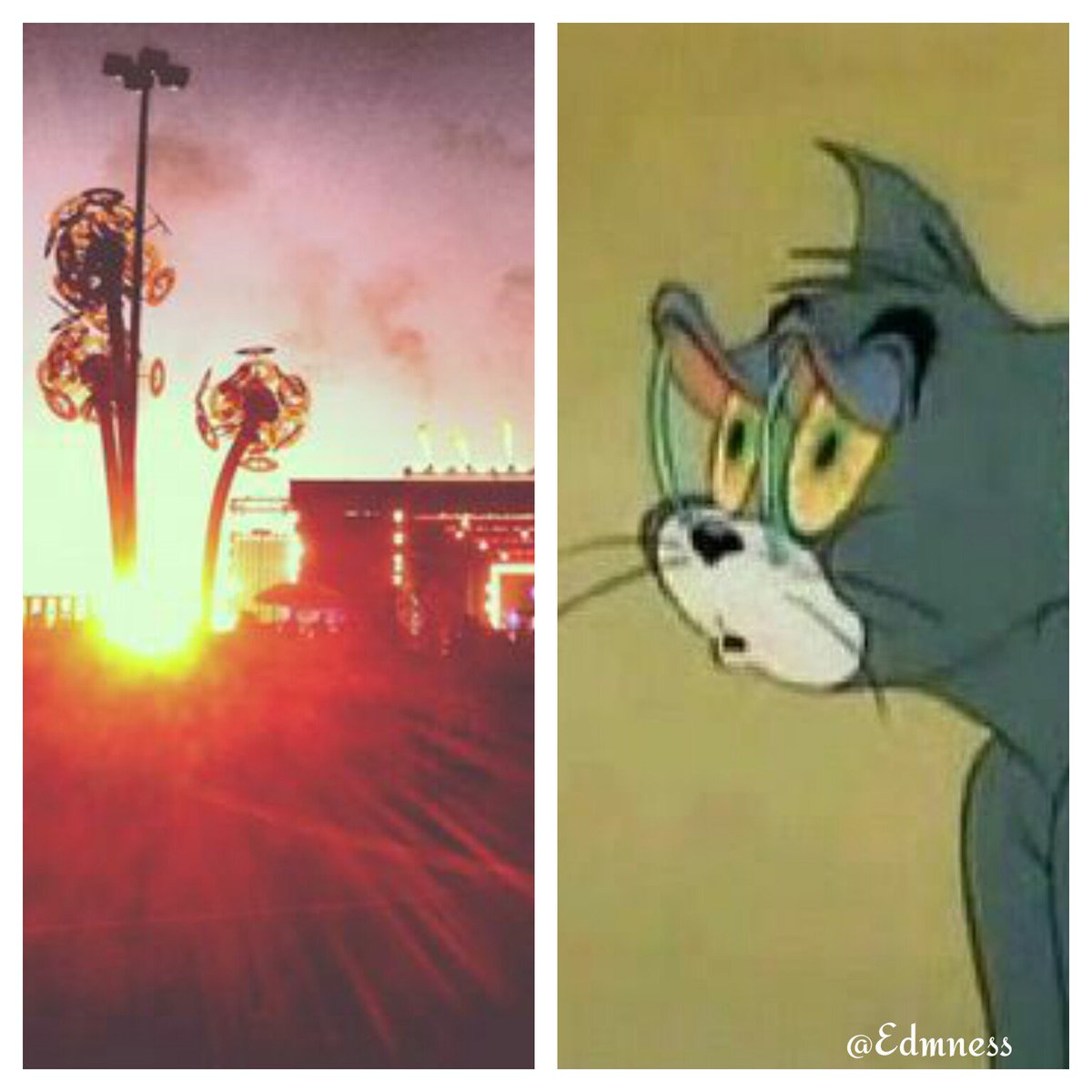 Edmness's tweet photo. Staying up all night at a festival till the sun rises... #EDM #Edmness #Raves https://t.co/gRPN9OnBep