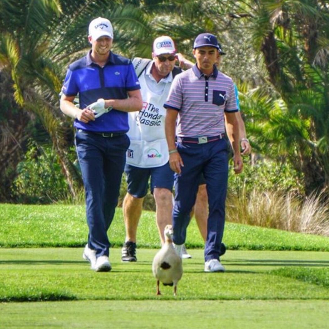 GolfProblems_'s tweet photo. When Tiger's not on the course you gotta try and chase a different animal https://t.co/IHiwrzcdHE