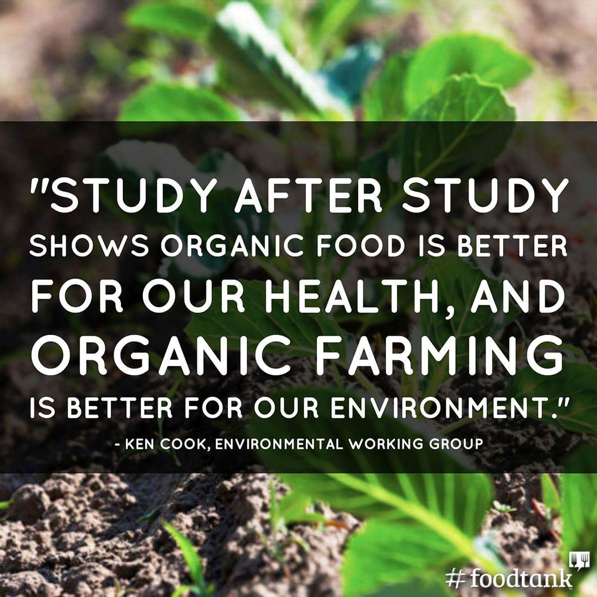 Organic Food Health And Environmental Advantages And Disadvantages Organic Food Health And Environmental Advantages And Disadvantages