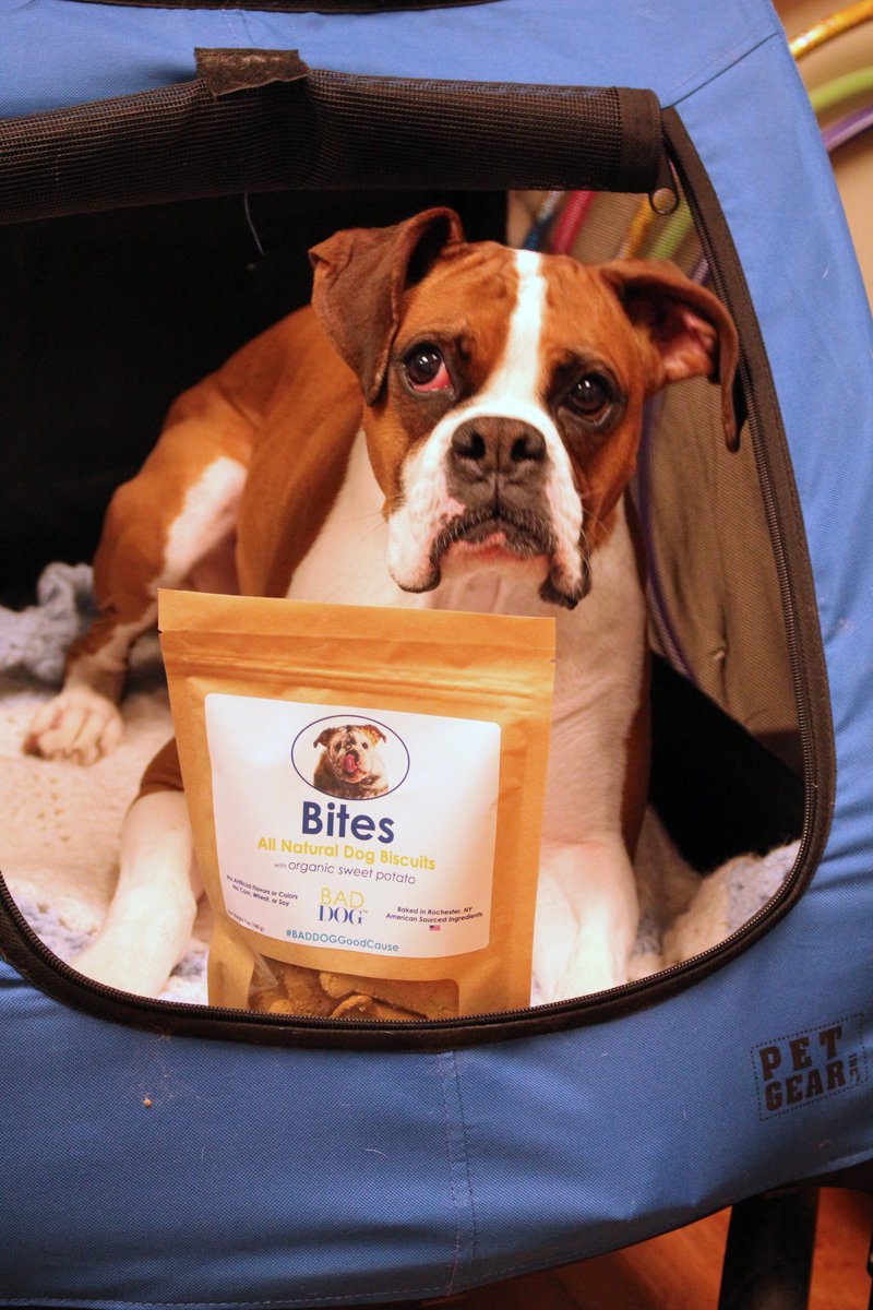 OARCPetConnect's tweet photo. Its #nationaldogbiscuitday! Why not pick up a bag of our BAD DOG Bites at your local Canandaigua, Geneva, or Ithaca @Wegmans to celebrate? https://t.co/Pfia2dMgeI