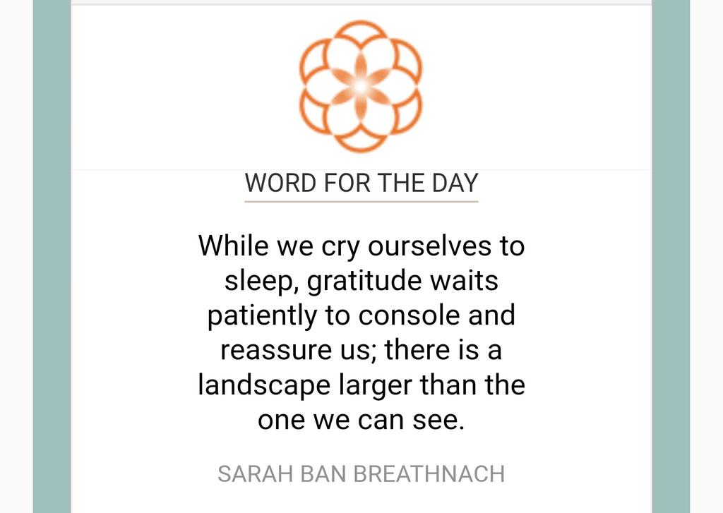 JulesG20's tweet photo. Word For the Day 2/23/2017 https://t.co/CTqBYolw73