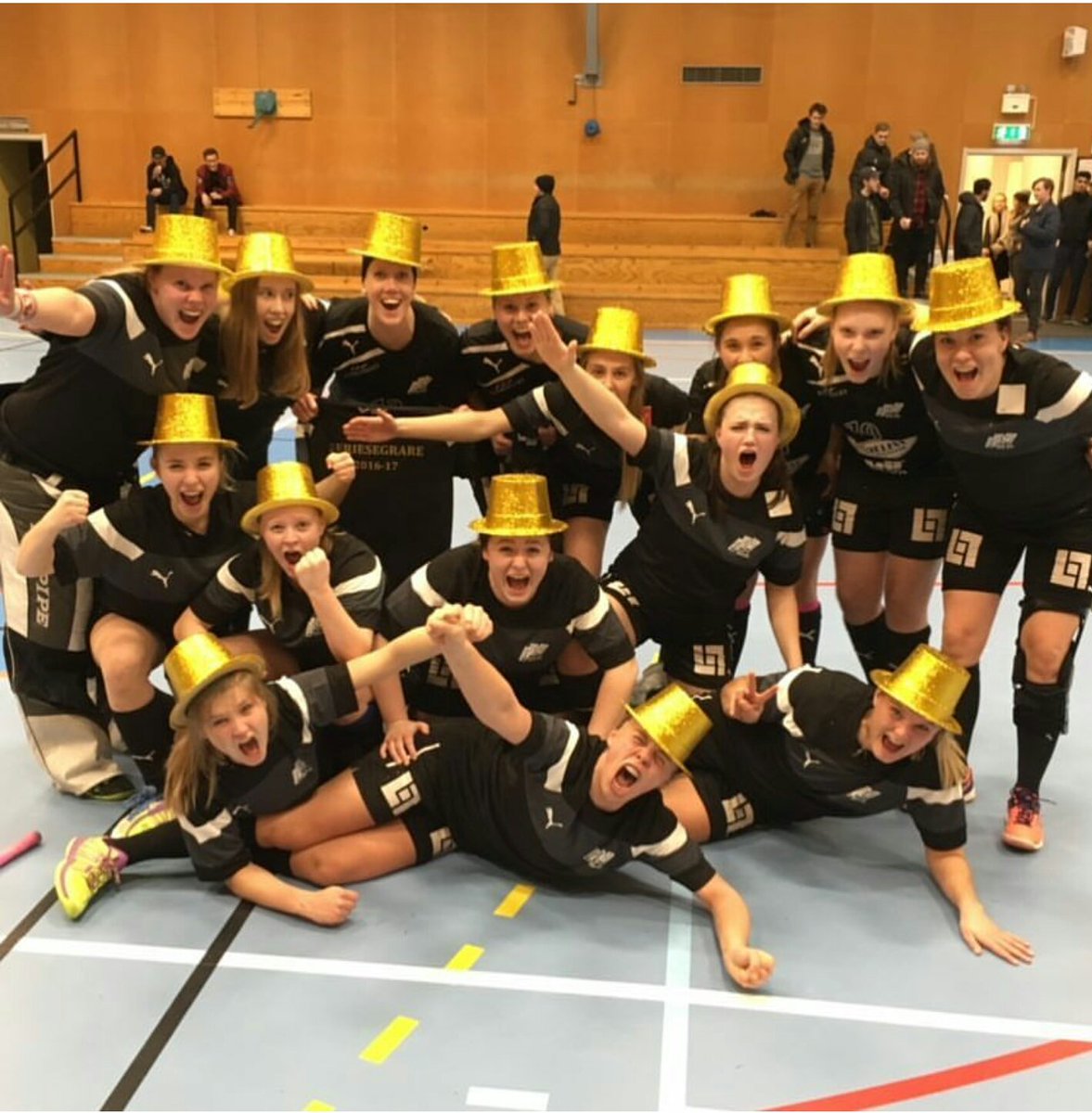 IBFTranas's tweet photo. Serieseger!!! @smibf @TranasPosten @tranastidning #IBFTranås https://t.co/8UNgbbFURc
