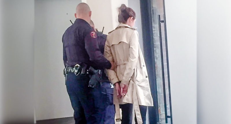 2017. http://www.rawstory.com/2017/02/watch-woman-arrested-for-speaking-out...