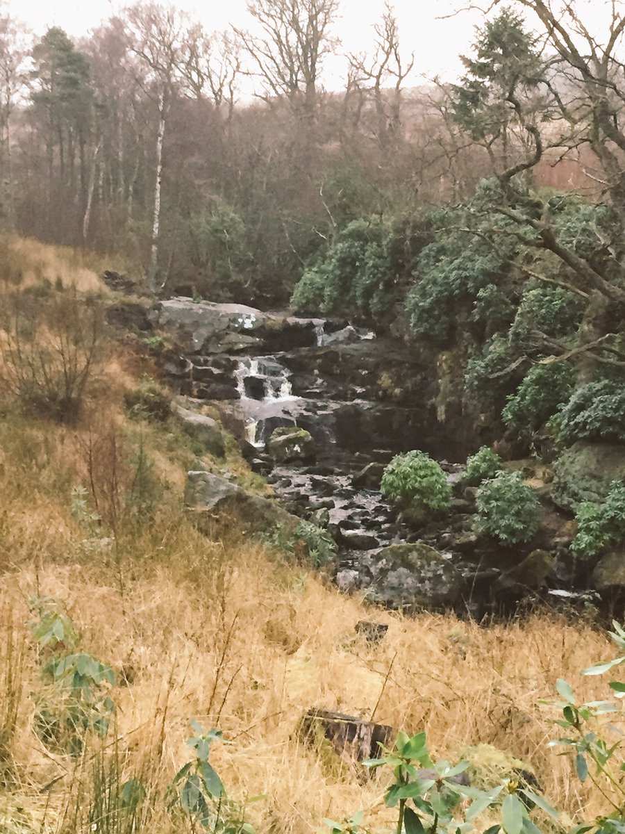 RobPerry2012's tweet photo. Loving the scenic views at Cragside #nationaltrust https://t.co/gXyf8zNaBk