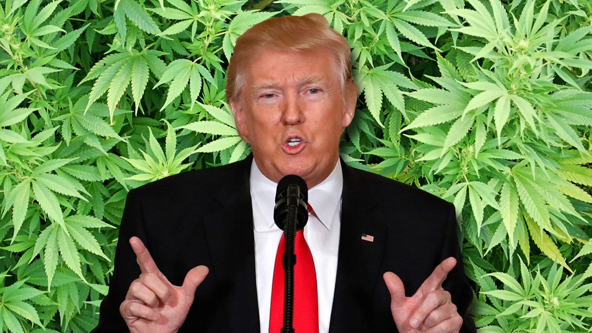 White House hints at crackdown on recreational #marijuana use bit.ly/2lKWFaP https://t.co/pl0Goco0c0
