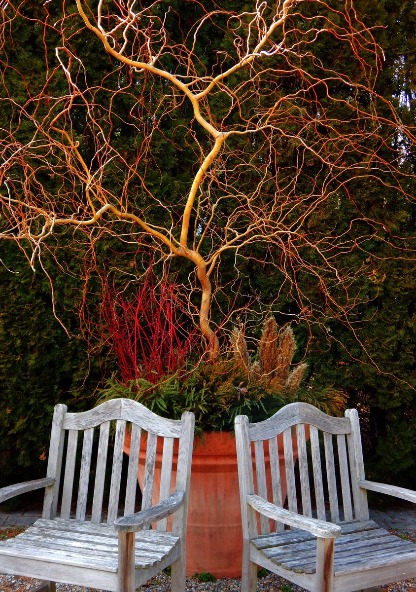 who's rachel? tweet media