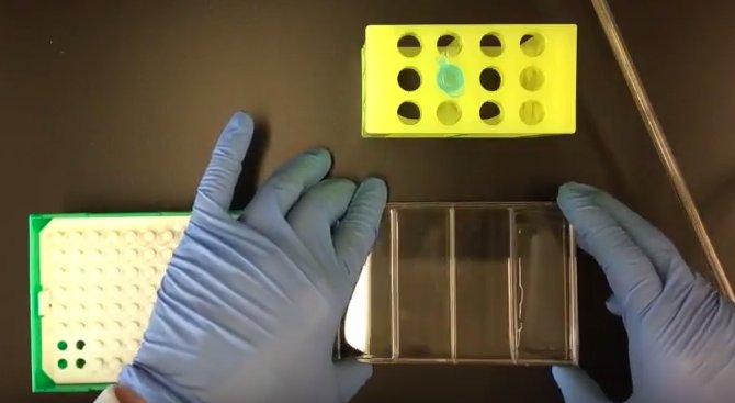 ChemandPhys_LR's tweet photo. Single #cell molecular studies now costs less than one dollar per cell with the #SeqWell portable platform https://t.co/o4oX3hAiuK https://t.co/7a4GSo881y