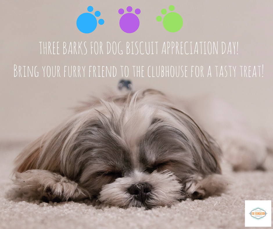 FoundationSac's tweet photo. Happy #InternationalDogBiscuitAppreciationDay ! Ruff! https://t.co/t3IkT4FJWd