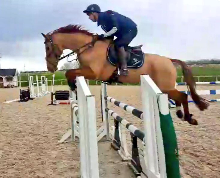 Harry_Meade's tweet image. Never keen on giving in to the elements so took a load of horses show jumping today -  Doris huffed and puffed but she couldn't stop us!