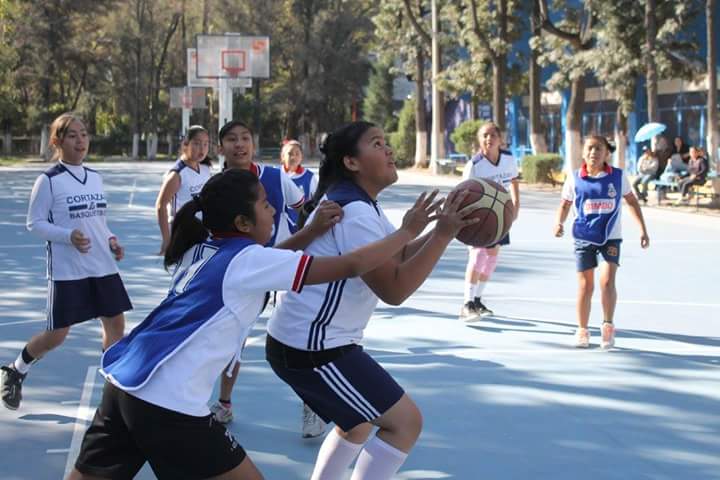 CelayaSIDEC's tweet image. #SIDECEsDeporte
Finaliza regional de #Condeba en #Celaya 
celayasidec.org/web/boletin/Fi…