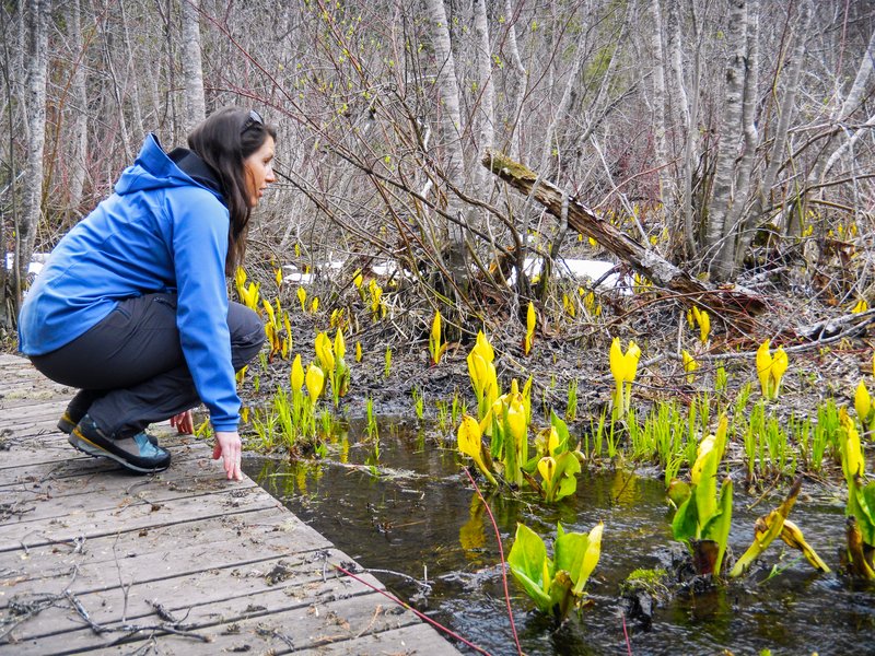 ParcsCanada's tweet photo. Cherchez-vous le moment idéal pour nous visiter en 2017?Voici des #conseils pour vous guider lors de la #bassesaison https://t.co/uU5d9dmwlU https://t.co/hmmyUUqCpP