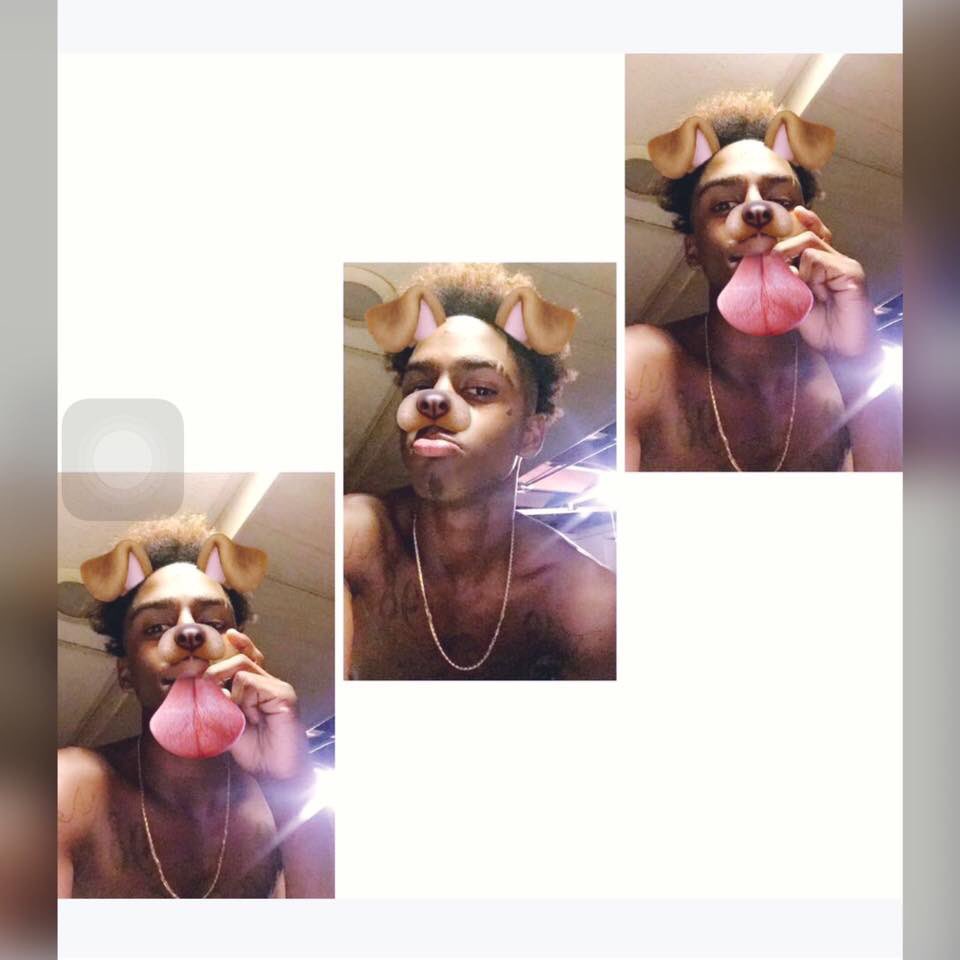 cbm_mari's tweet photo. favortie dog😊👊🏽 https://t.co/65T2eLk1dc