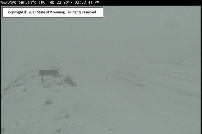 View image on Twitter