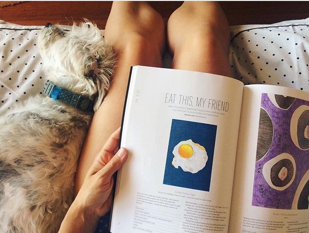 Hardie Grant Books tweet media