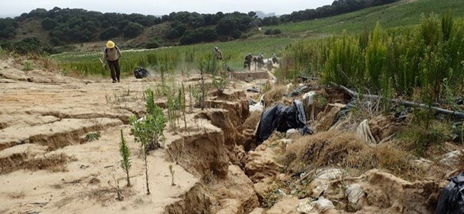 Blog goo.gl/HsmxL0 abt @elkhornslough.Love to see enviros &amp; Ag working together to restore land <a href="/FarmBureauSCruz/">Farm Bureau S Cruz</a> <a href="/LakesideOrganic/">Lakeside Organic</a>