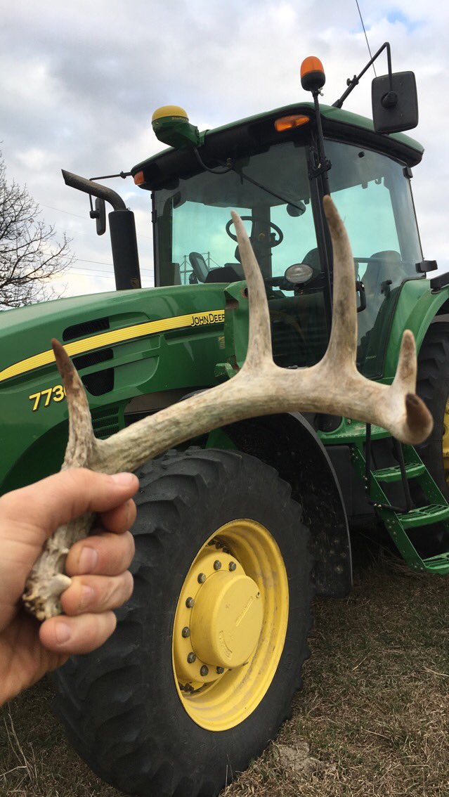 Driving along, picking up bone!