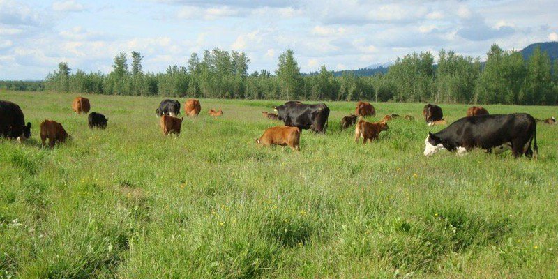 What will happen to your farm or forestland when you're gone?  goo.gl/BKCgBD Succession Planning for Farm and Forestland Owners
