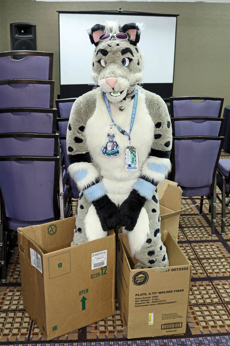 SnowSpottycats's tweet photo. Cats &amp; Boxes... 'nuff said... XD

Kamadan the Snow Spottykitty with his boxes, during #MWFF2016
#FursuitFriday https://t.co/1xw8TPvwWf
