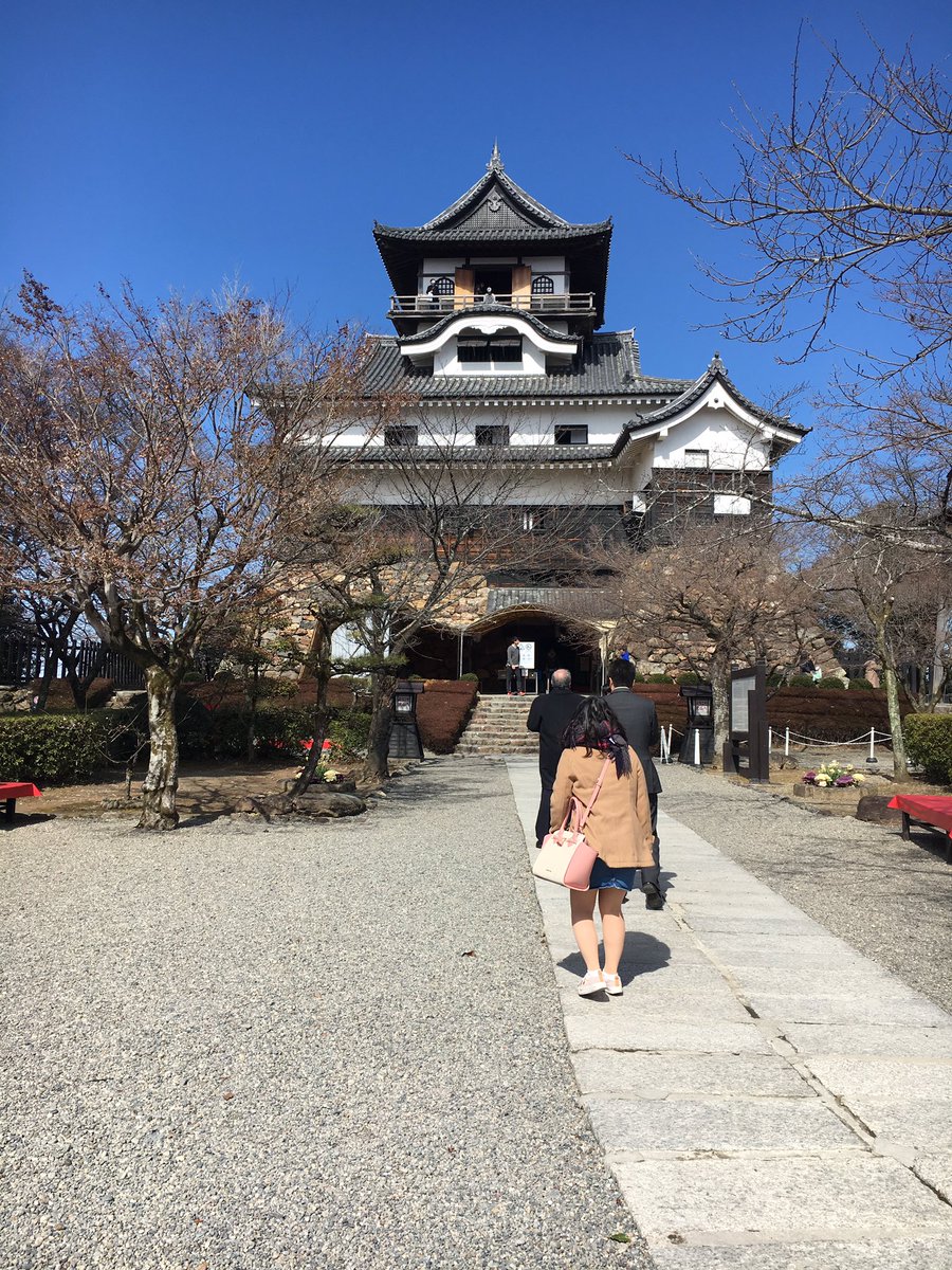 azss1103's tweet photo. 琴と犬山🍡 https://t.co/vJwnQPbHBB