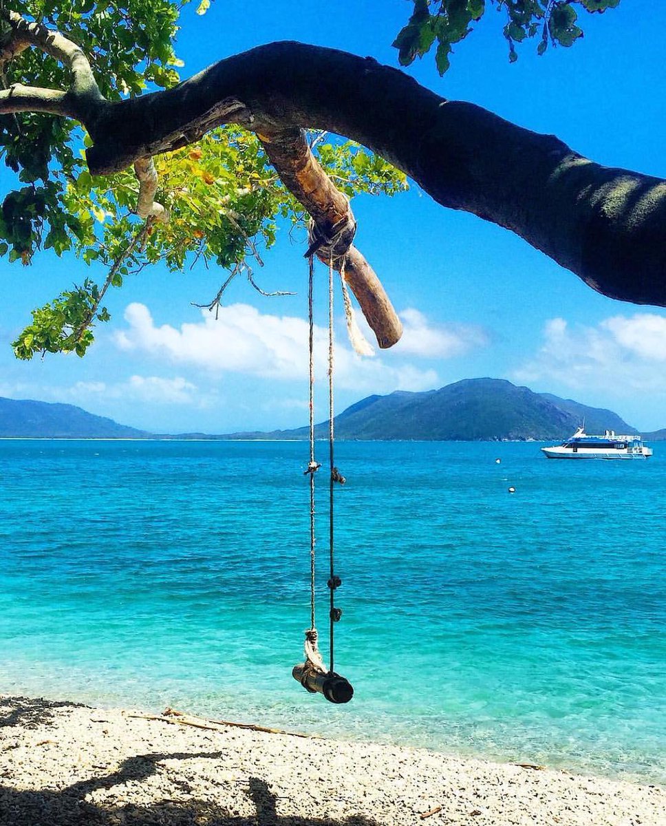 #exploreTNQ Fan Favs | Summer doing what Summer does best in <a href="/australia/">Australia</a> - brightening up our landscape! Full album > bit.ly/2l611Fr