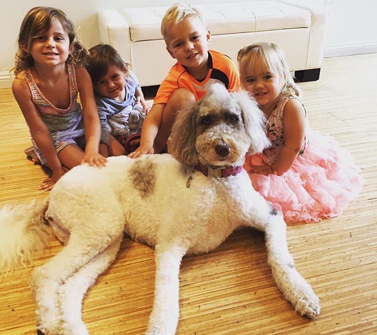 DaileyMethodSD's tweet image. We now have childcare every day of the week 💚✨ #DaileyMethod #childcare #barre #livingadaileylife #fitness #dogsoftwitter