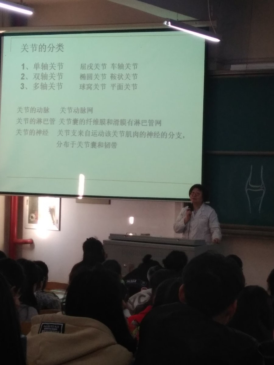 赵敏 (@lostzm) on Twitter photo 