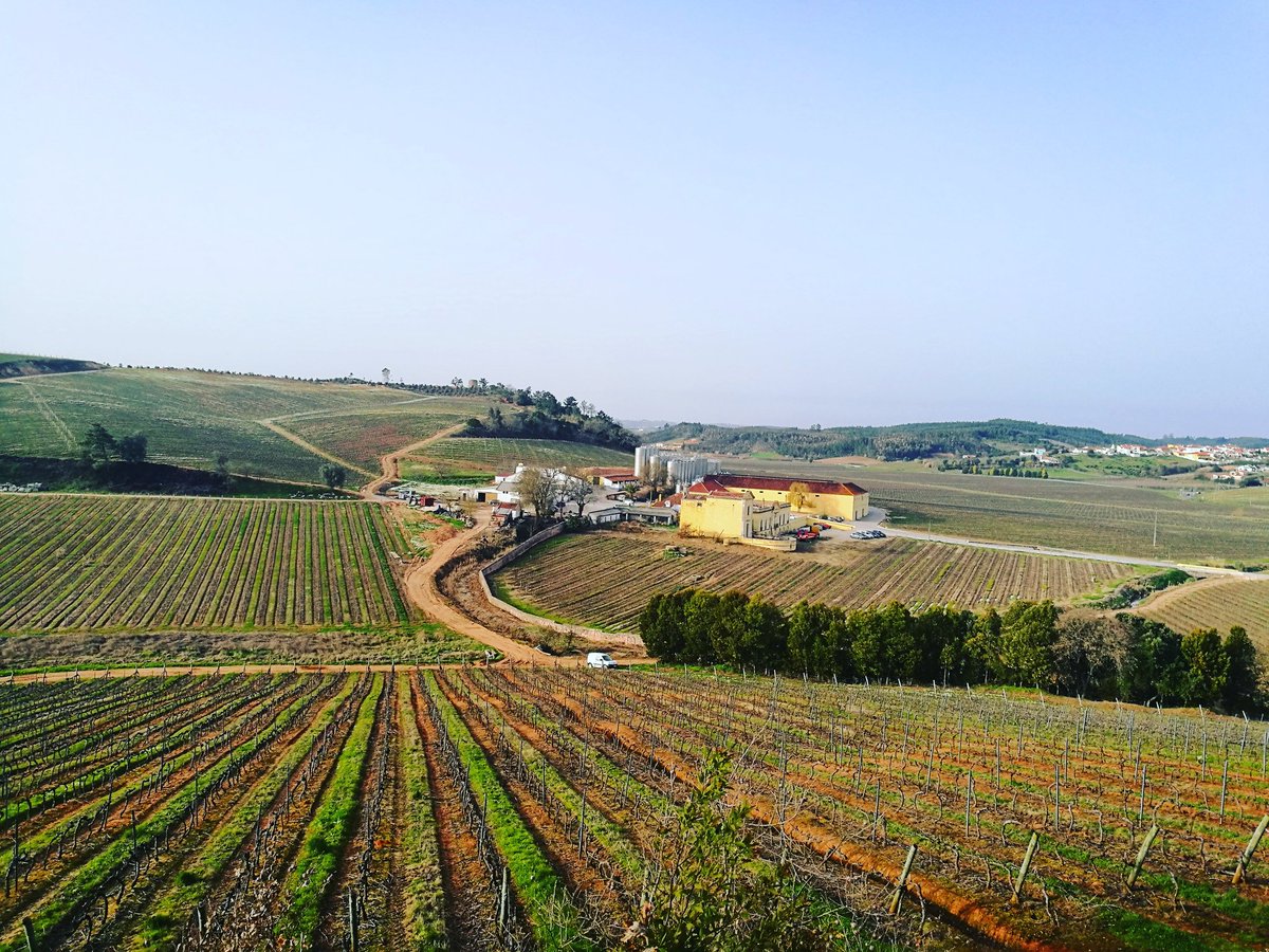 HCabralPinto's tweet photo. Quinta do Gradil https://t.co/rrwAcdWk7j