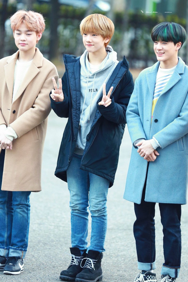 이터널미티어 ^🐤^ tweet media