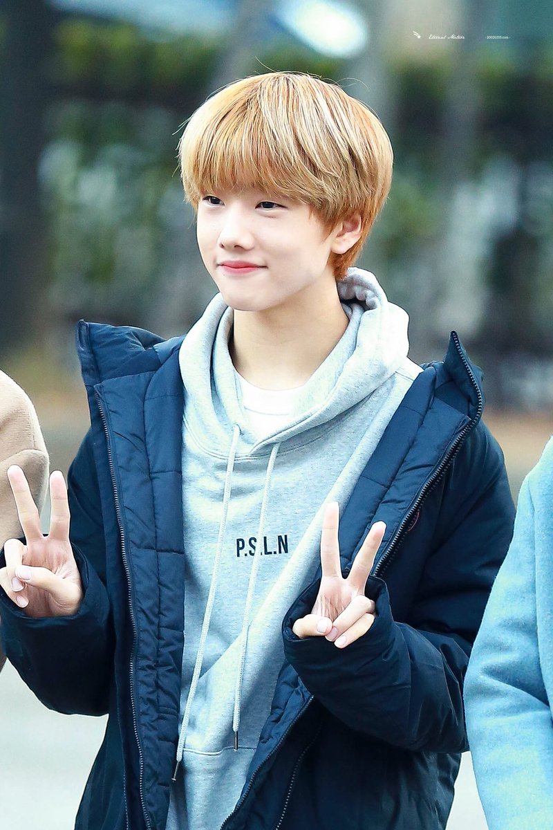 이터널미티어 ^🐤^ tweet media