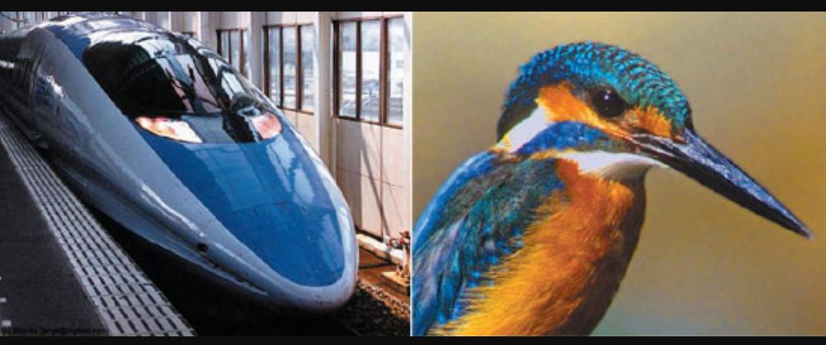 LWinifredSloan's tweet image. Excited 2 introduce Ss 2 #biomimicry - Excllent resrces @ecorise @JayGreenlinger @NGSSchat @bjohnson_STEAM #environmentalprinciples&amp;amp;concepts