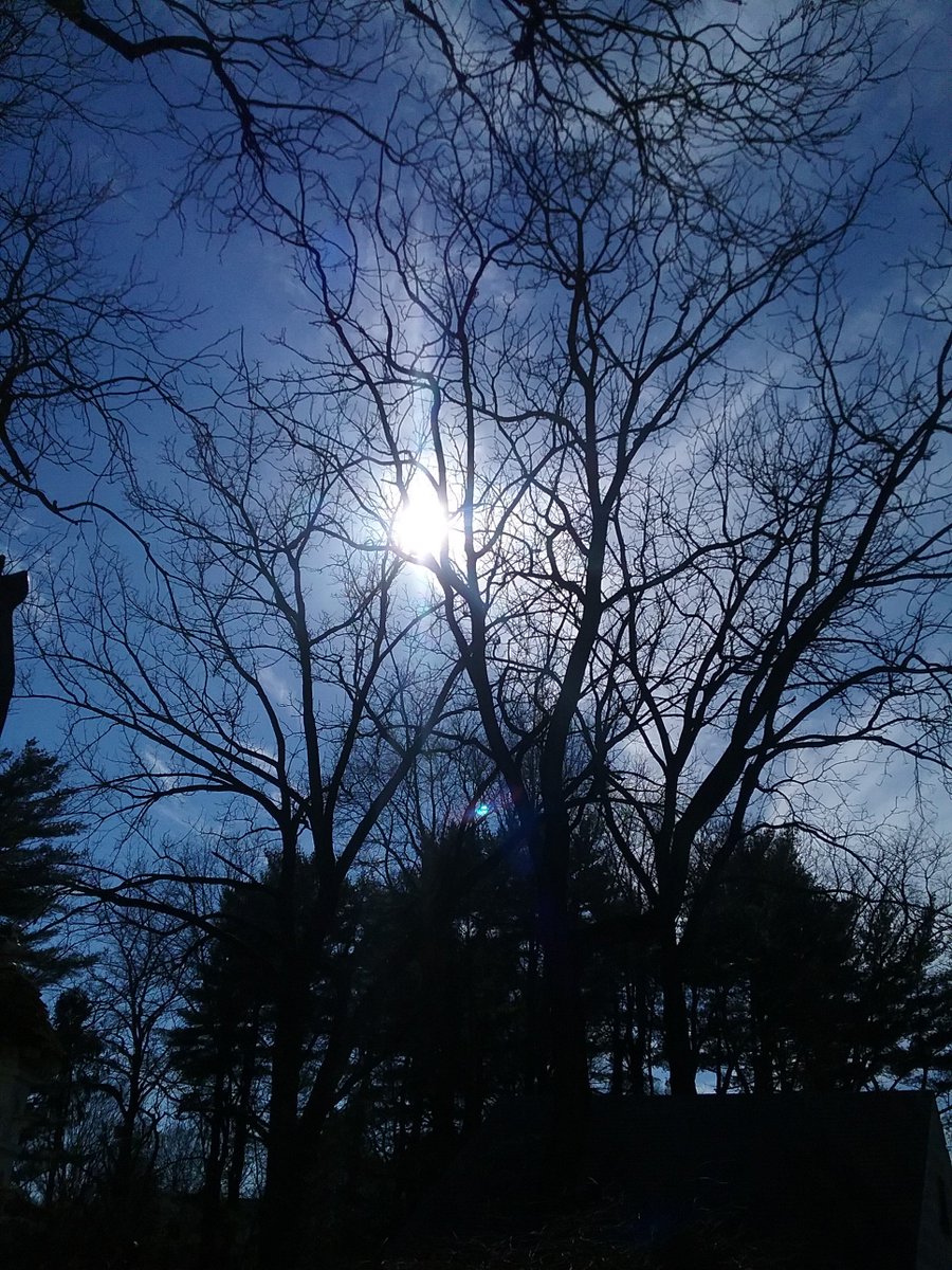 jhs1953's tweet photo. Return of the prodigal sun #PleaseStayAWhile https://t.co/iWzM7NrrF0