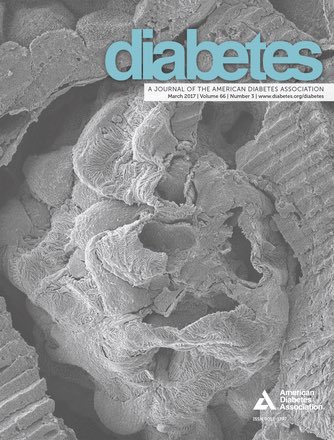 Our findings diabetic nephropathy susceptibility featured in this month's Diabetes! <a href="/ISNkidneycare/">Int Society of Nephrology</a> <a href="/nkf/">National Kidney Foundation</a> @Nephcure