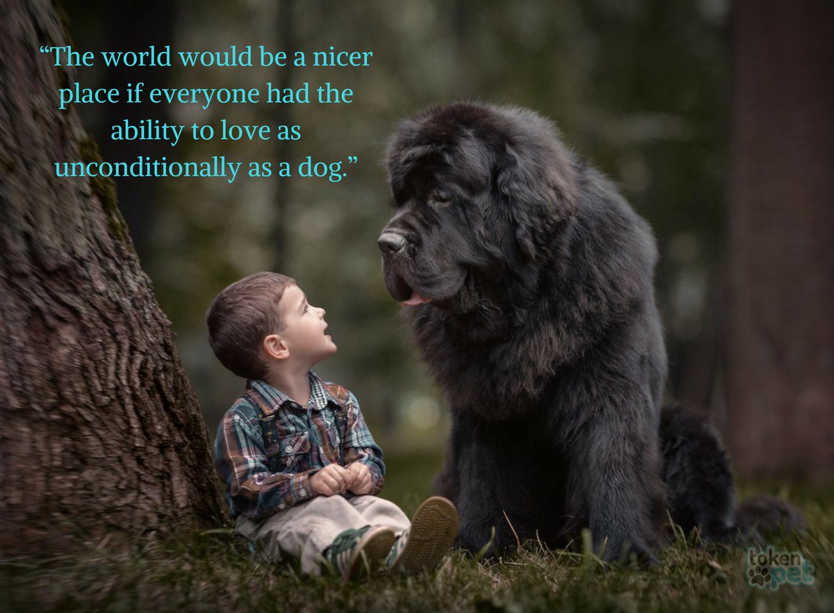 myfriend_bella's tweet photo. Retweet if you agree!

Hope you are following our #adventures on YT @ https://t.co/hCZAaBlkV8

#dogs #travel #journey #puppies #puppy #pets https://t.co/vGLCdTvCr6