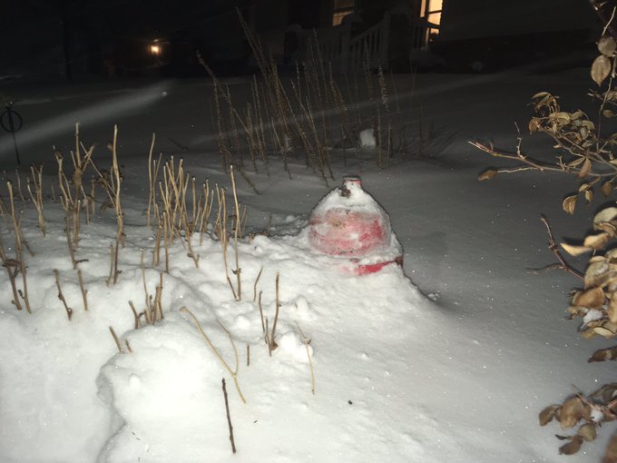 View image on Twitter View image on Twitter