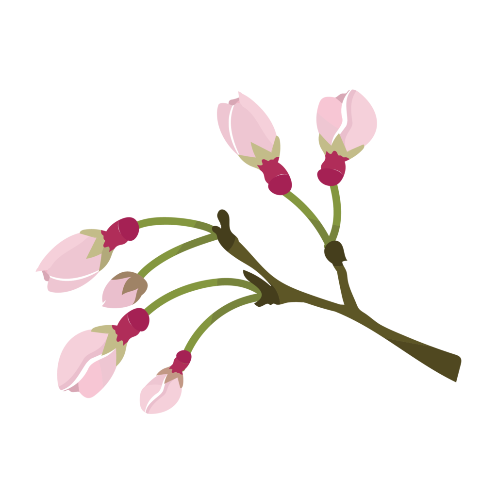 イラストマンション かわいい桜 さくら サクラ の蕾 つぼみ のイラスト T Co 8h3voyxrh3