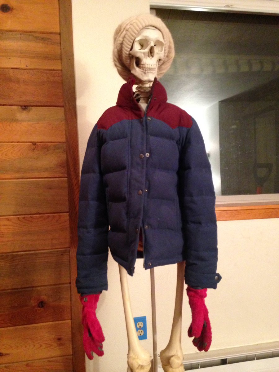 Simon Skeleton tweet media