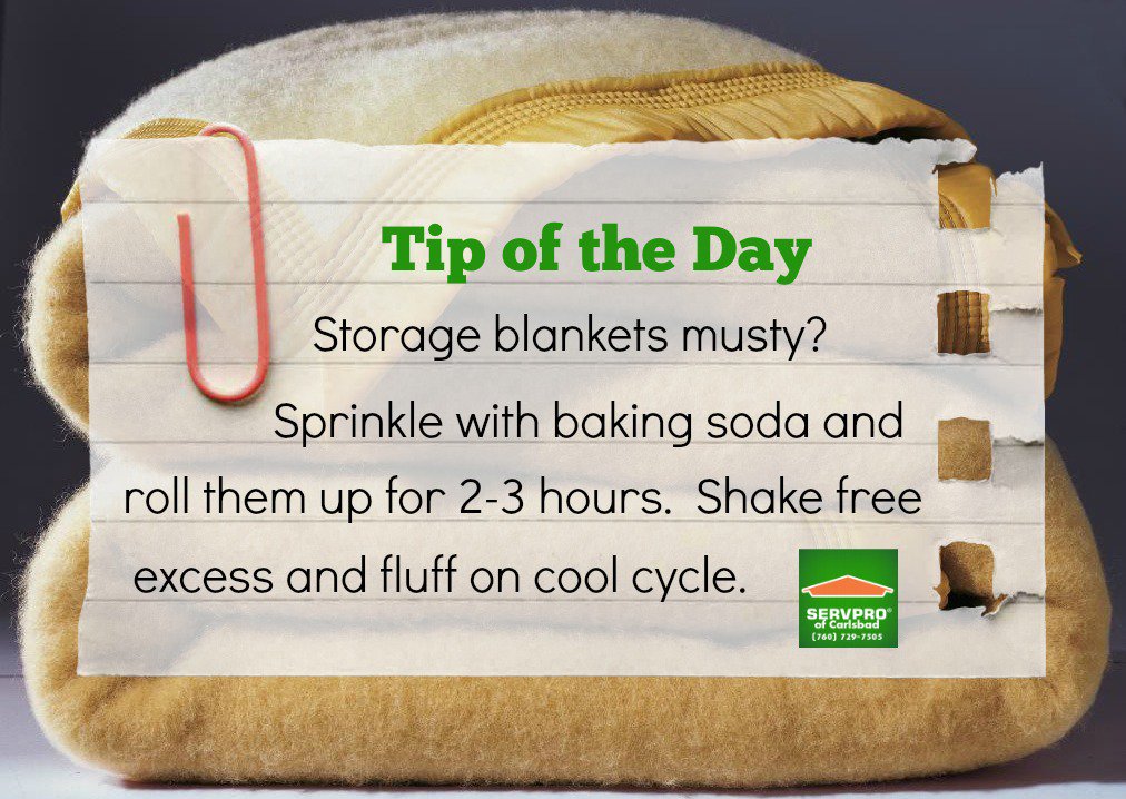 ServproCarlsbad's tweet photo. #TipoftheDay #Servpro #ServproCarlsbad #Carlsbad #MoldRemediation #FloodExtraction #FloodRepair #FireDamage #Vista #SanDiego https://t.co/m1NUBS9h6K