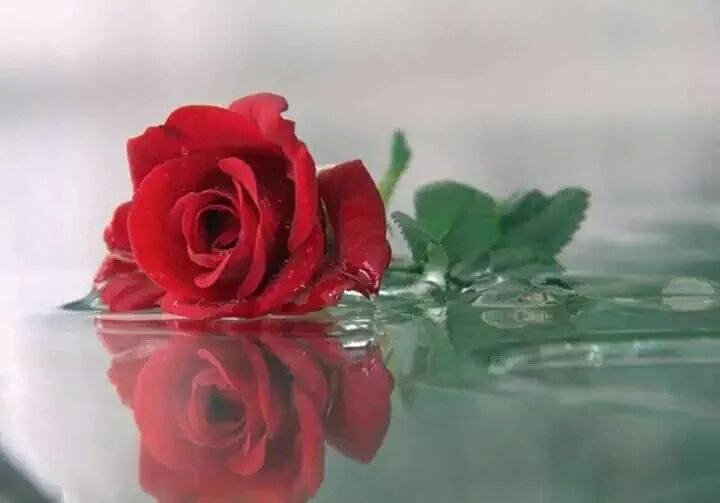 МУ-ын Эрүүлийг хамгаалахын гавьяат ажилтан цол хүртэж бгаа академич Л.Хүрэлбаатар танд баяр хүргэж, ажлын өндөр амжилт хүсье <a href="/Khurelbaatar_L/">Khurelbaatar</a>