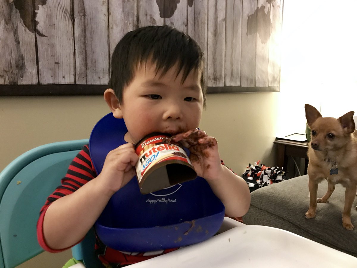 DJJenkins's tweet image. Zane&apos;s first Nutella #predictableresults