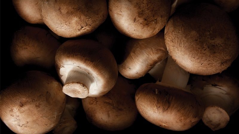 EmmaRoseberg's tweet photo. The Best Way to Rinse #Mushrooms https://t.co/7wsrsWVClo #hr https://t.co/20AE2GVdUz