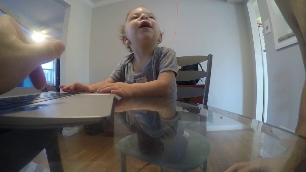 NaziJokes11's tweet photo. Baby must...touch...laptop.. #funny #LOL https://t.co/6aauOqRPpA