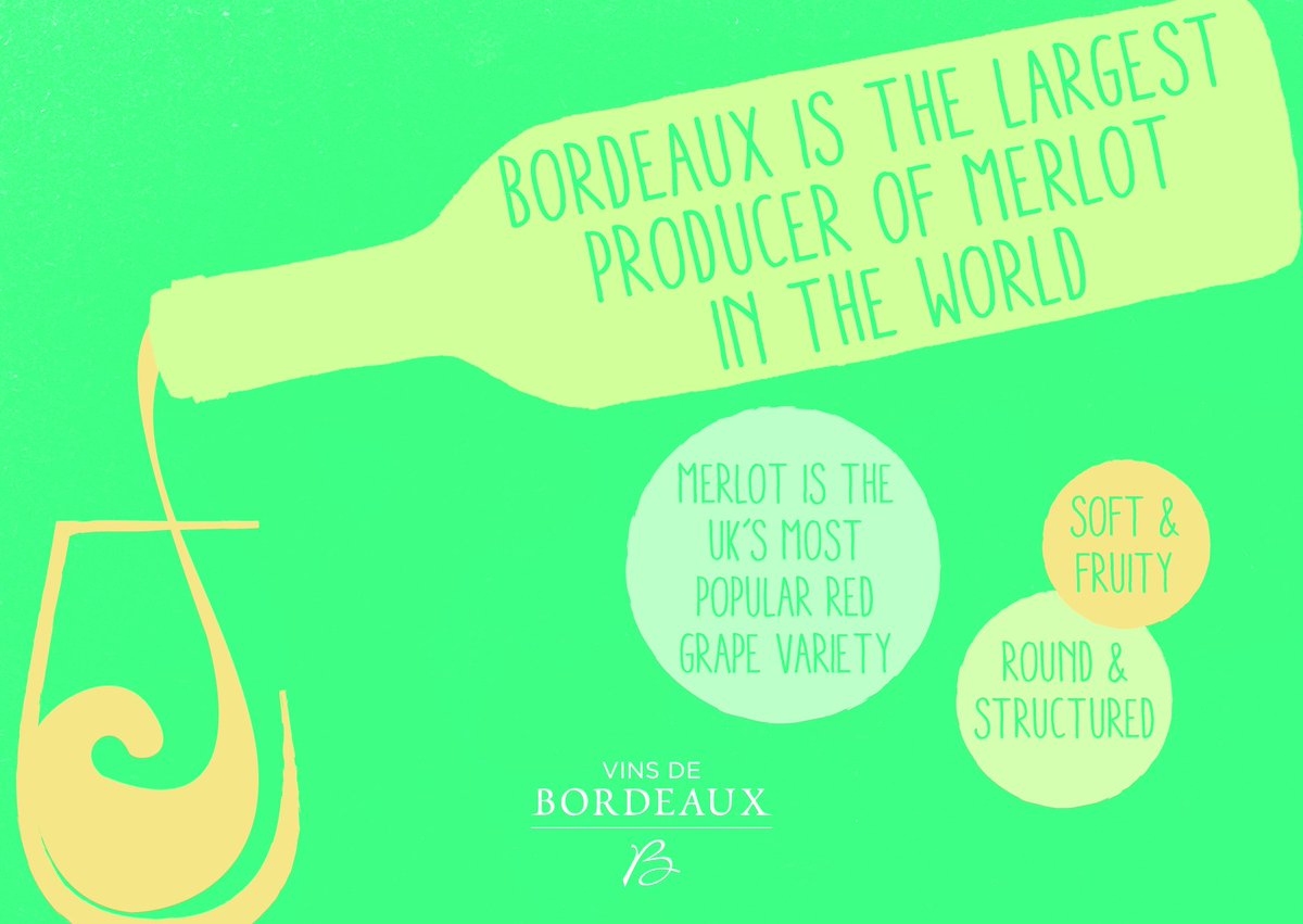 Did you know?! #Merlot #Bordeaux #Bordeauxwine #lovemerlot #lovebordeaux #factoftheday