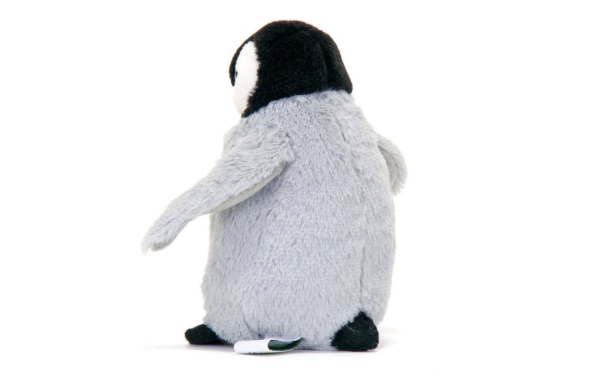 ３月のペンギン情報