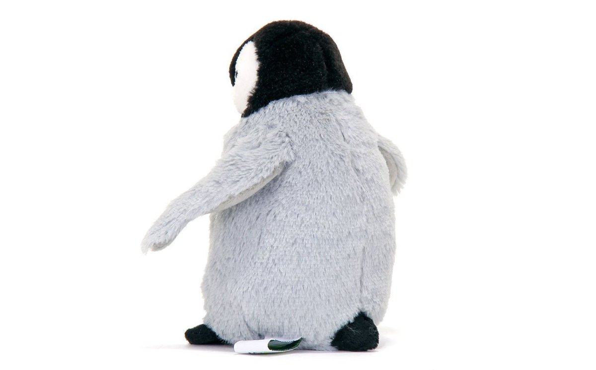 3月のペンギン情報 3月のペンギン情報